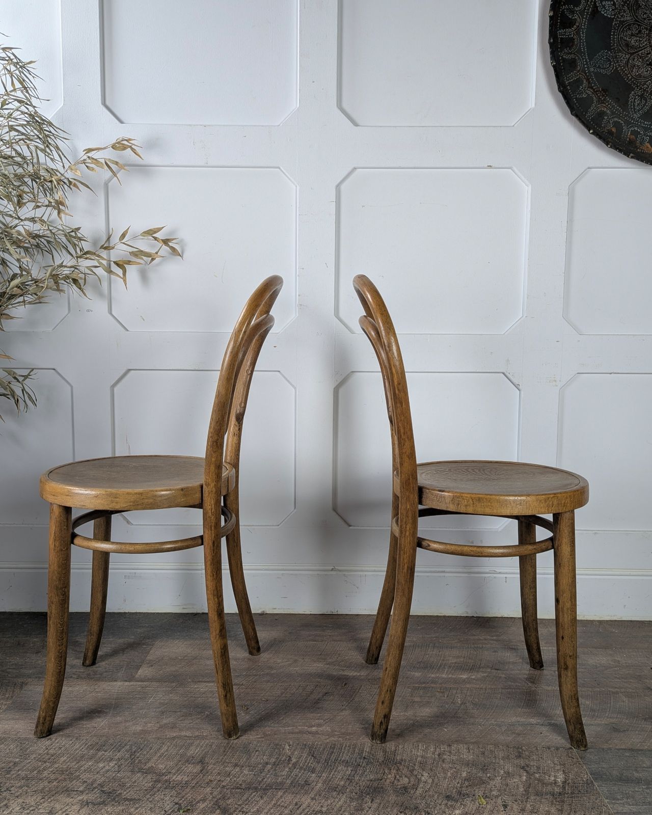 Pair Of Early 20th Century Thonet Bentwood Chairs photo Furniture
