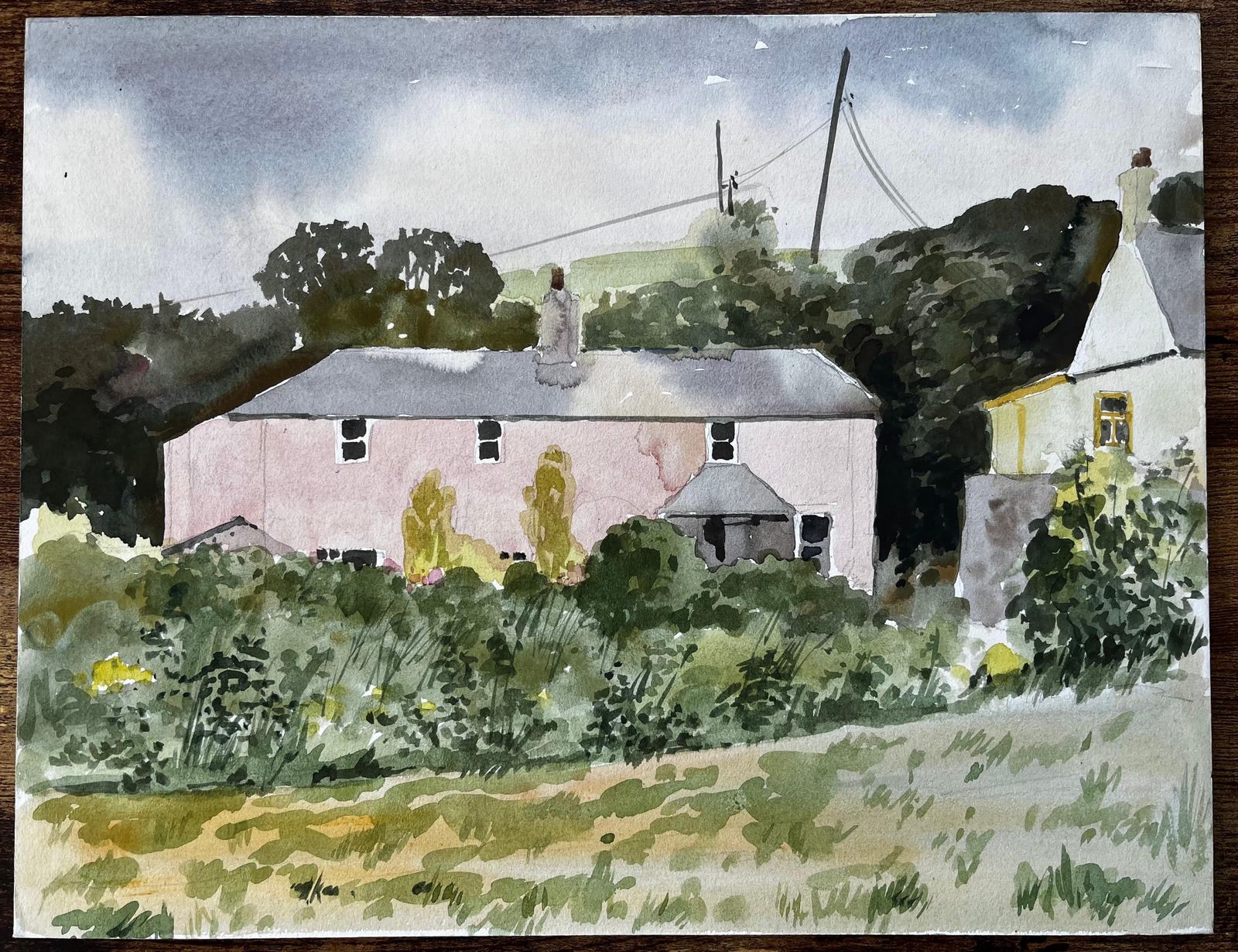 Anthony Herbert Bude Cornwall Pink House Landscape With Trees And Garden Watercolour 1978 photo furniture