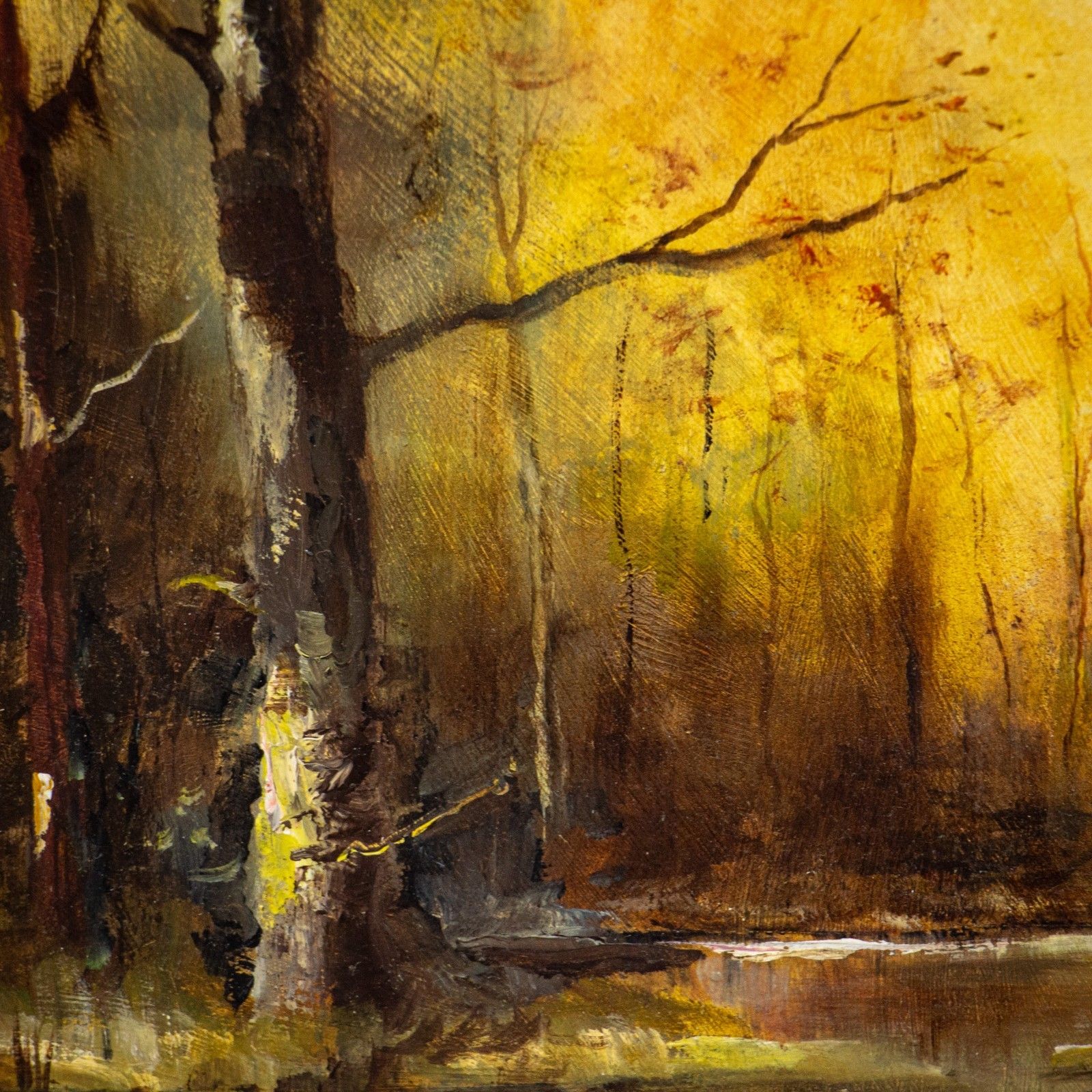 Woodland Landscape Oil On Board Signed W. Thompson photo Art