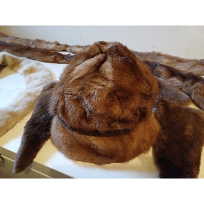 Lot Of Furs La Belle Fourure Limoges photo furniture