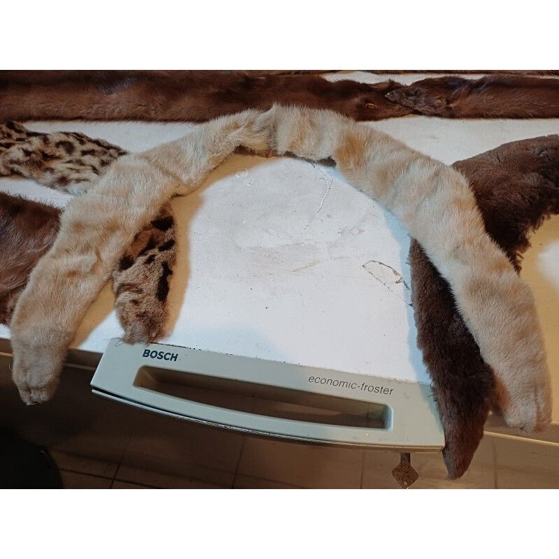 Lot Of Furs La Belle Fourure Limoges photo 131.0
