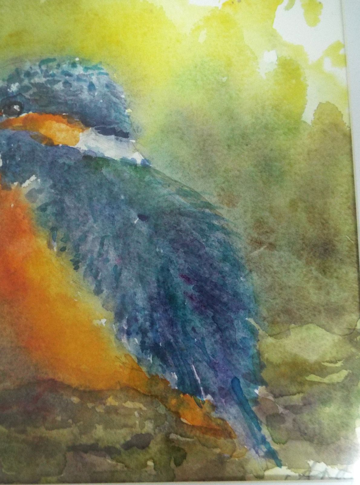 New Framed Original Watercolour Wildlife Painting Kingfisher Signed Andi J Lucas photo Art
