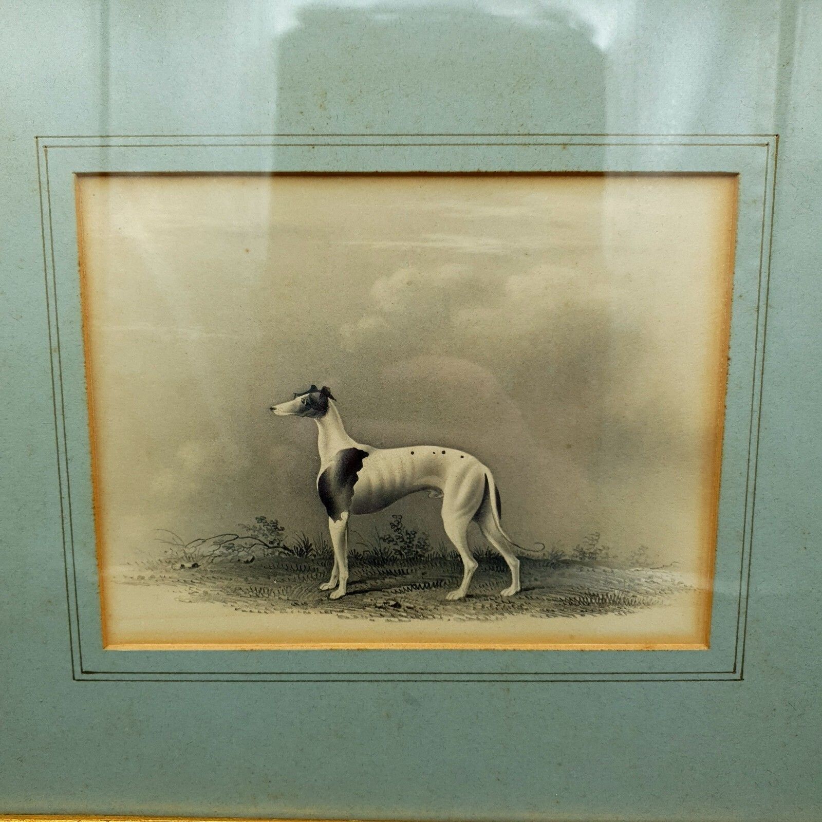 Art Early 19thc Original Greyhound Drawing On Card C1800–1830 British Sporting Art photo