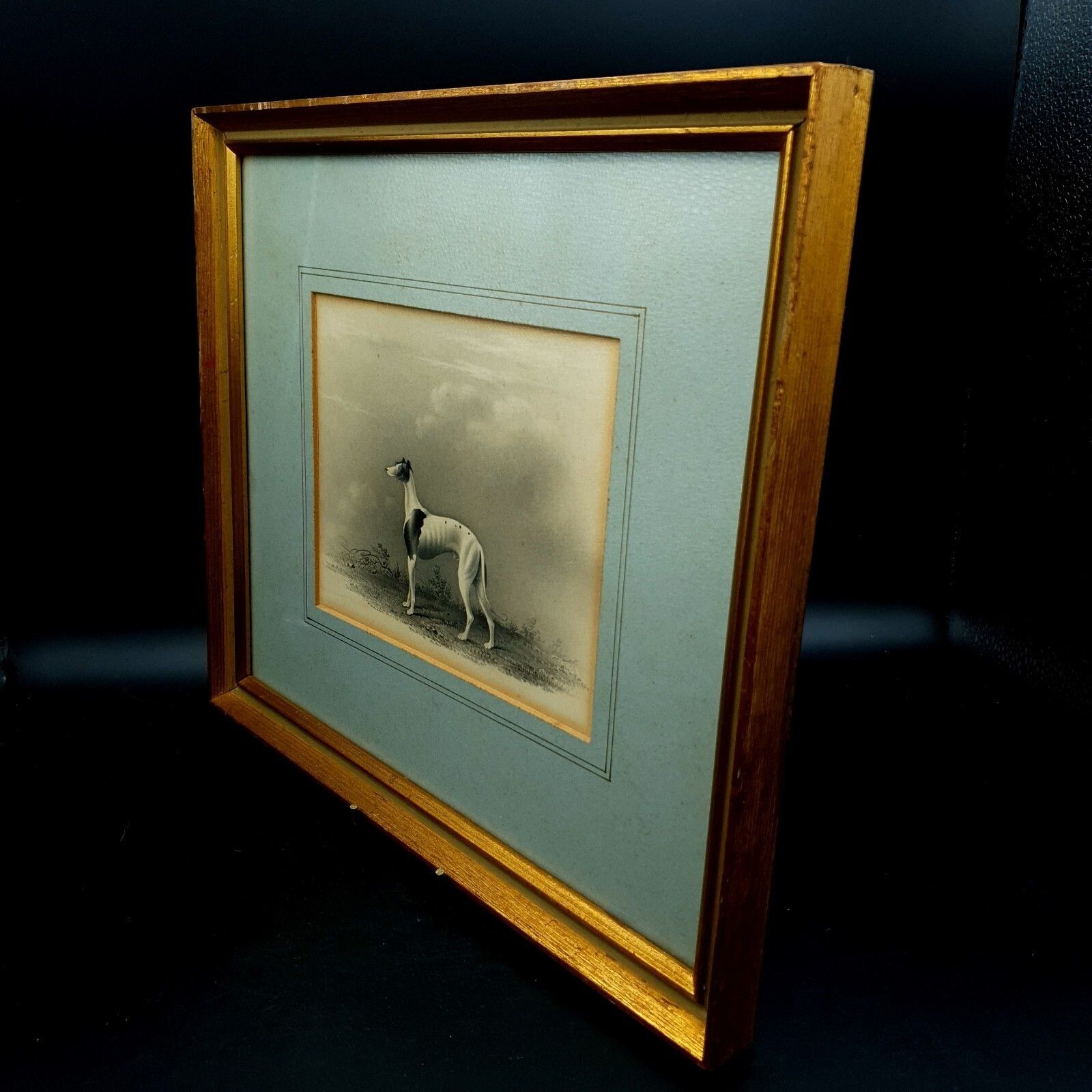 photo buy Early 19thc Original Greyhound Drawing On Card C1800–1830 British Sporting Art