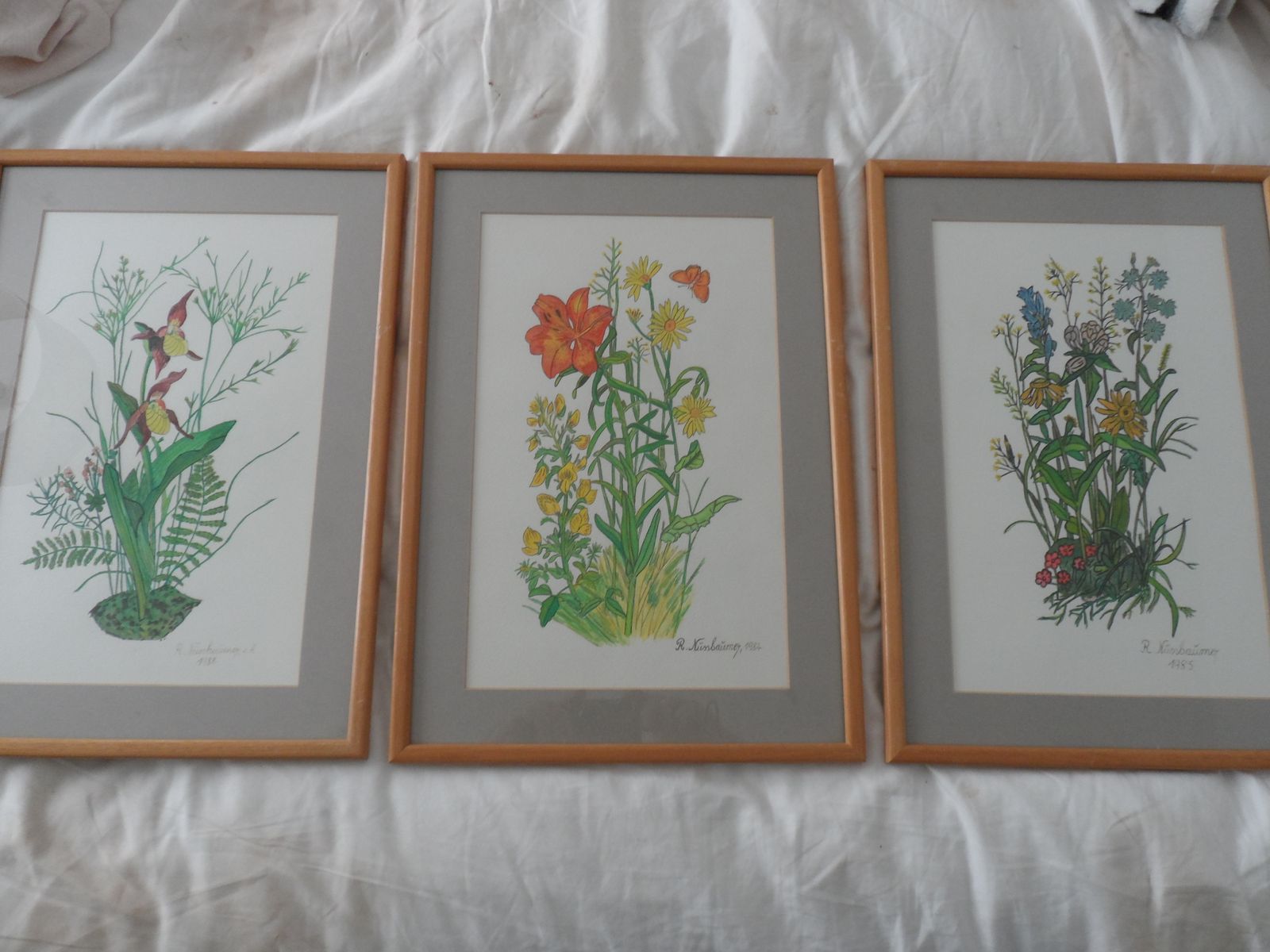 Art 3x Vintage 1980s Signed And Framed Watercolours Of Wild Flowers By R Nussbaumer photo