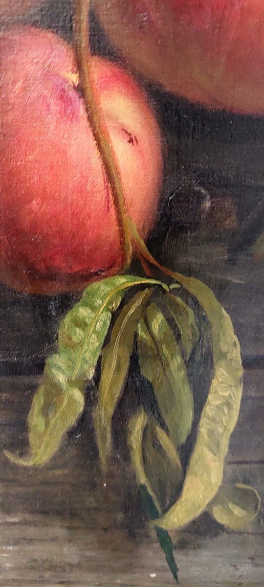 Zingoni Aurelio Florence 1853 1922, Oil On Canvas, Still Life photo vintage