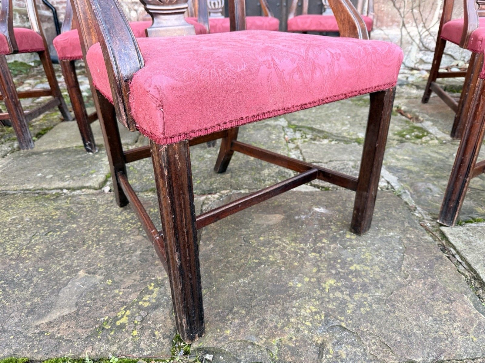 Chippendale Vintage Chairs Elbow Armchairs Diner Chairs X 12 Restoration 20th C photo for sale