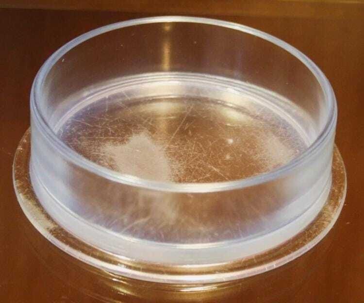 Lalique France Round Glass Box Roger Model 1920s Vintage photo 1078.0