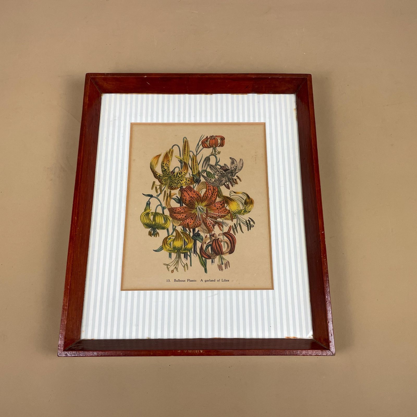 Antique Botanical Lily Print Framed Victorian Chromolithograph Floral Wall Art Picture Bulbous Plants: A Garland Of Lilies Wooden Frame photo furniture