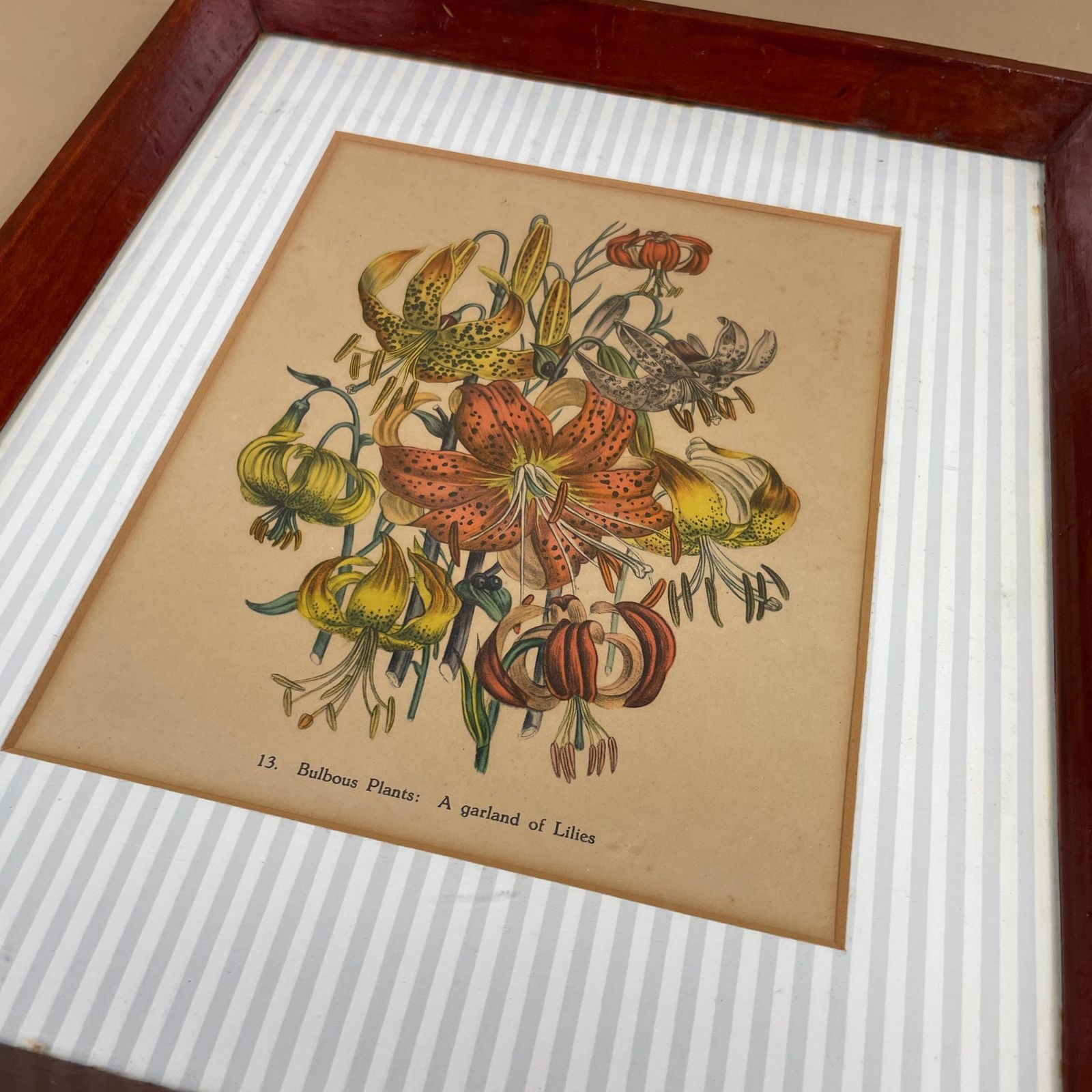 Antique Botanical Lily Print Framed Victorian Chromolithograph Floral Wall Art Picture Bulbous Plants: A Garland Of Lilies Wooden Frame photo 116.0