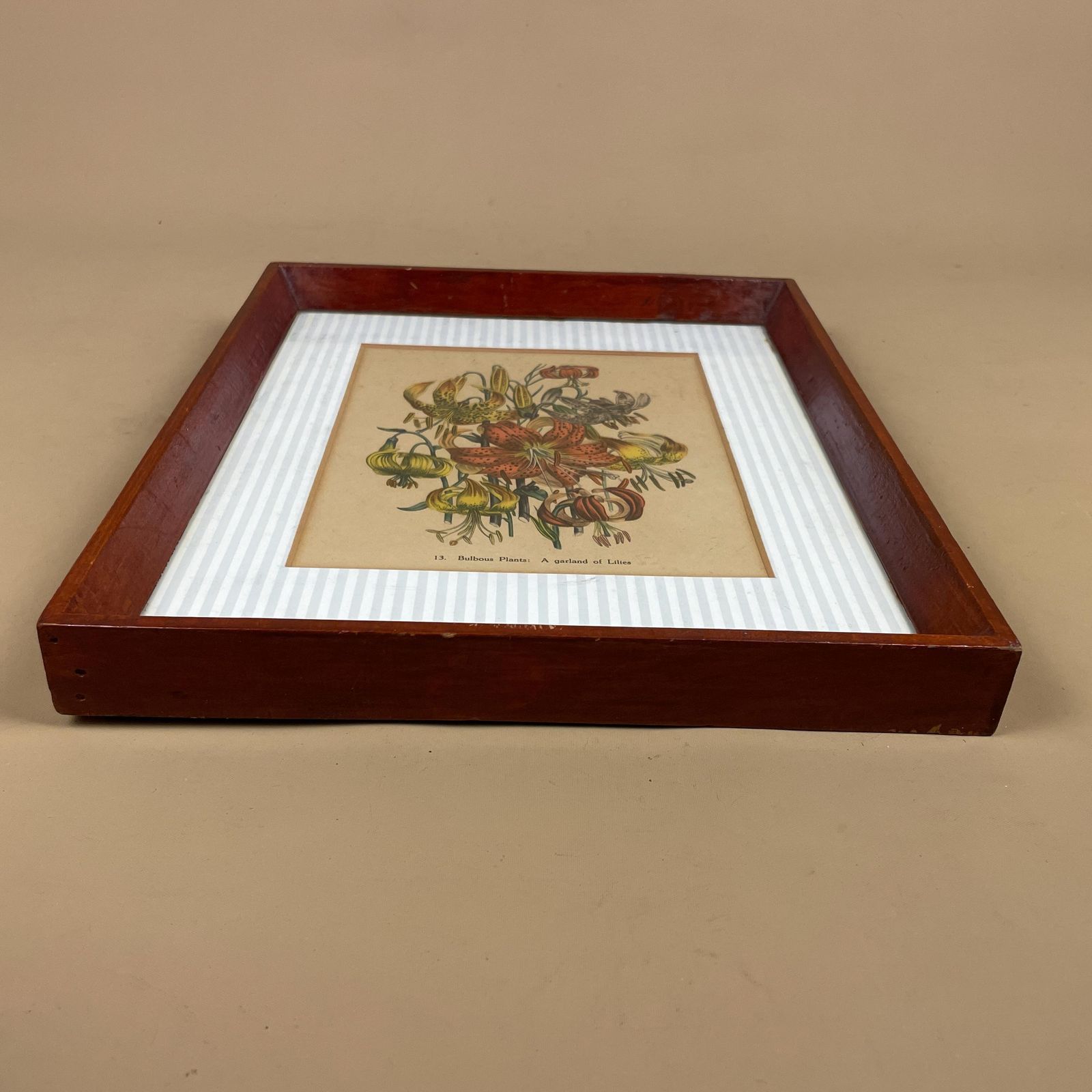 photo for sale Antique Botanical Lily Print Framed Victorian Chromolithograph Floral Wall Art Picture Bulbous Plants: A Garland Of Lilies Wooden Frame