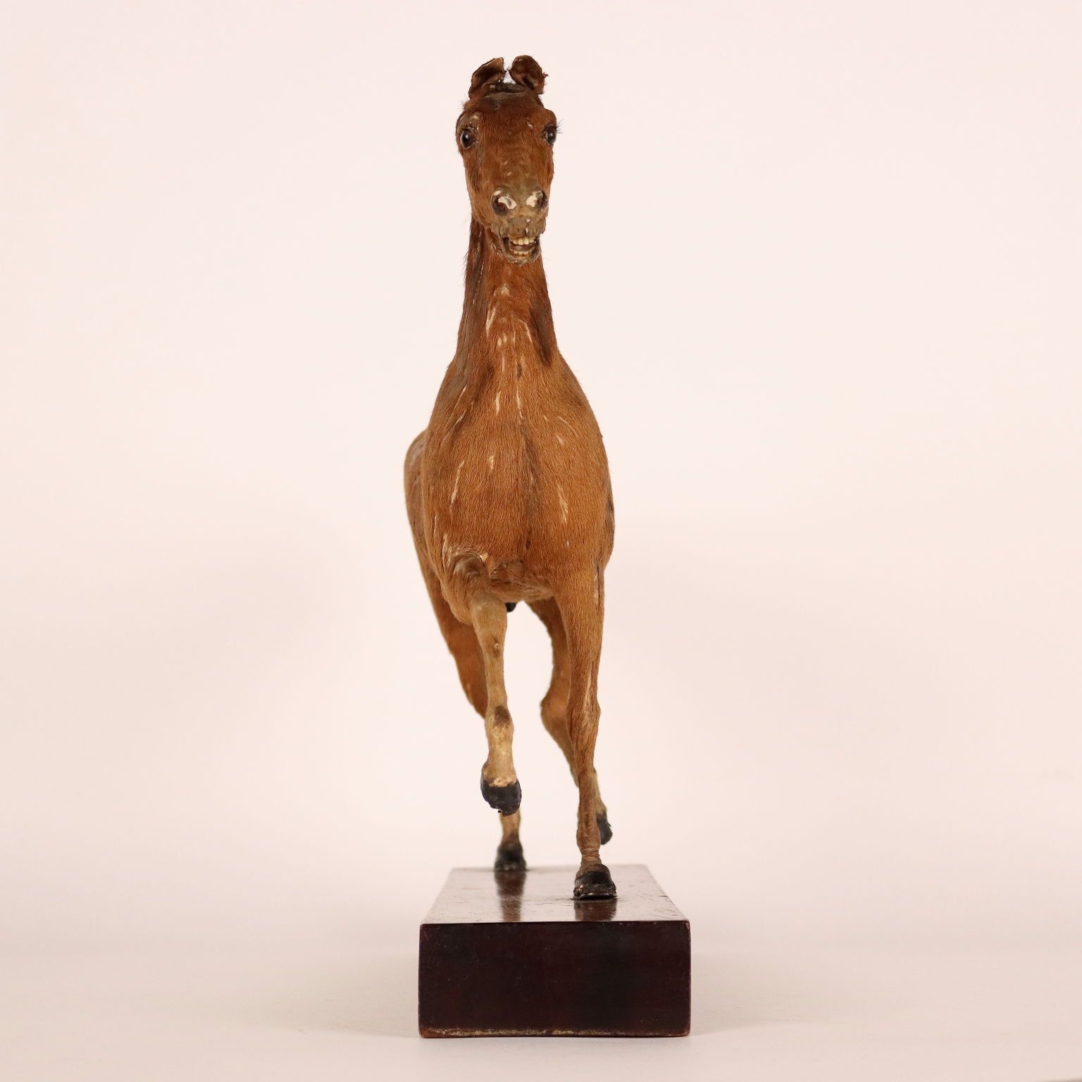 Horse Sculpture By H. Fratin Wood France 1818 Ca. photo furniture