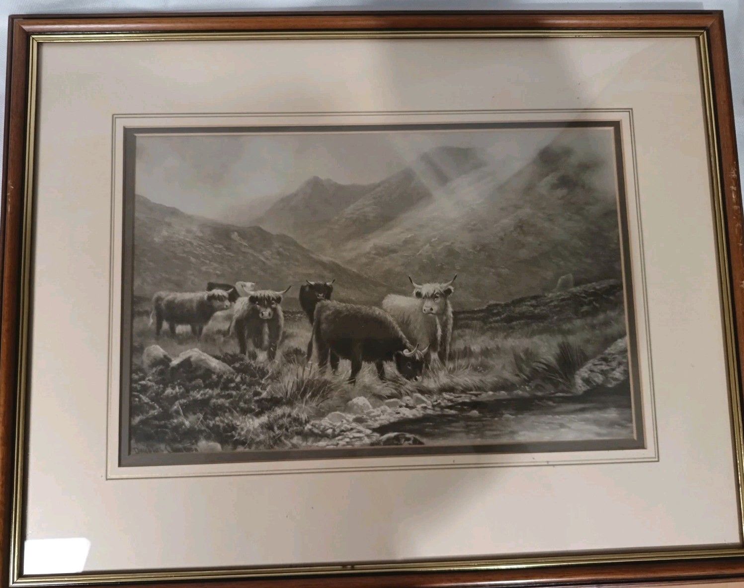 Antique Intaglio Print 'A Glint In The Storm' By Douglas Cameron Highland Cows photo for sale
