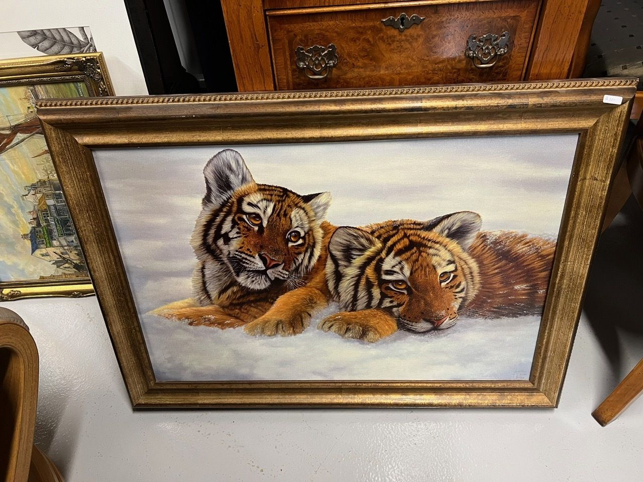 Ltd Print Of Tiger Cubs By Johnathon Truss 8/75
