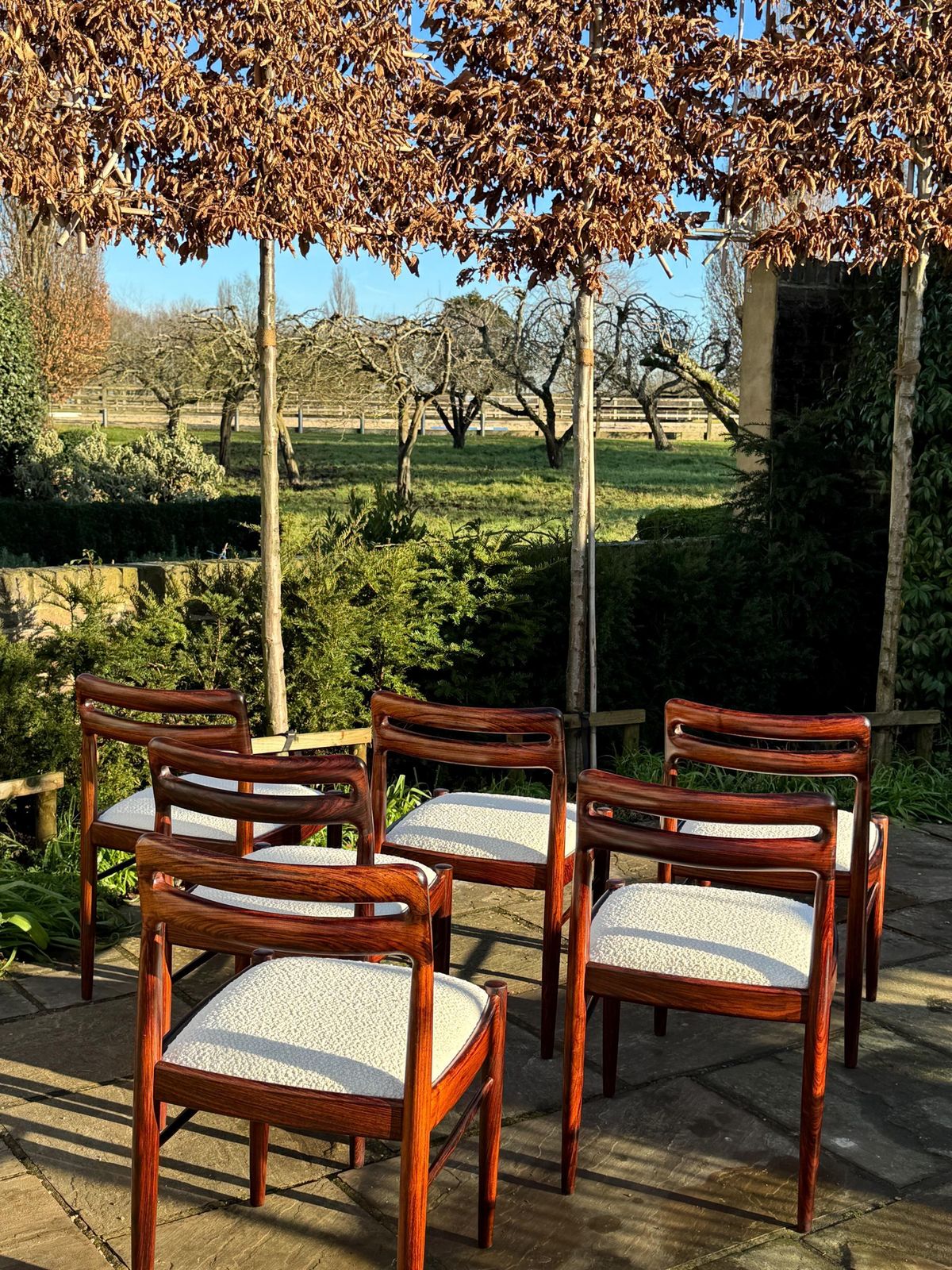 6000.0 Eight H W Klein For Bramin Rosewood Dining Chairs Denmark 1960 photo
