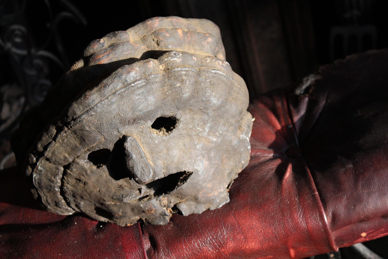 Early 20th C Polypore Shelf Fungi Natural History Nepalese Fog Eater Mask photo for sale