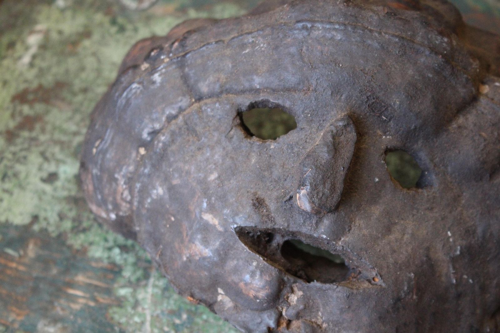 Early 20th C Polypore Shelf Fungi Natural History Nepalese Fog Eater Mask photo vinterior