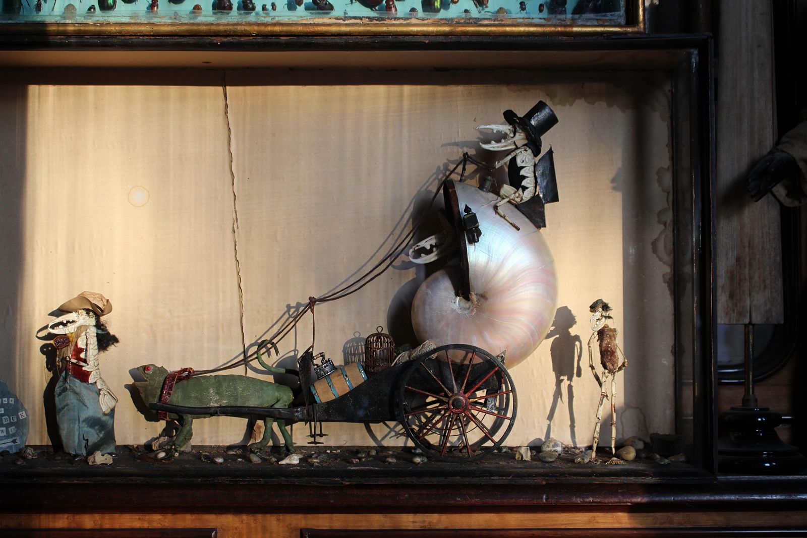19th C Anthropomorphic Chameleon & Crustacean Taxidermy Scene Walter Potter photo for sale