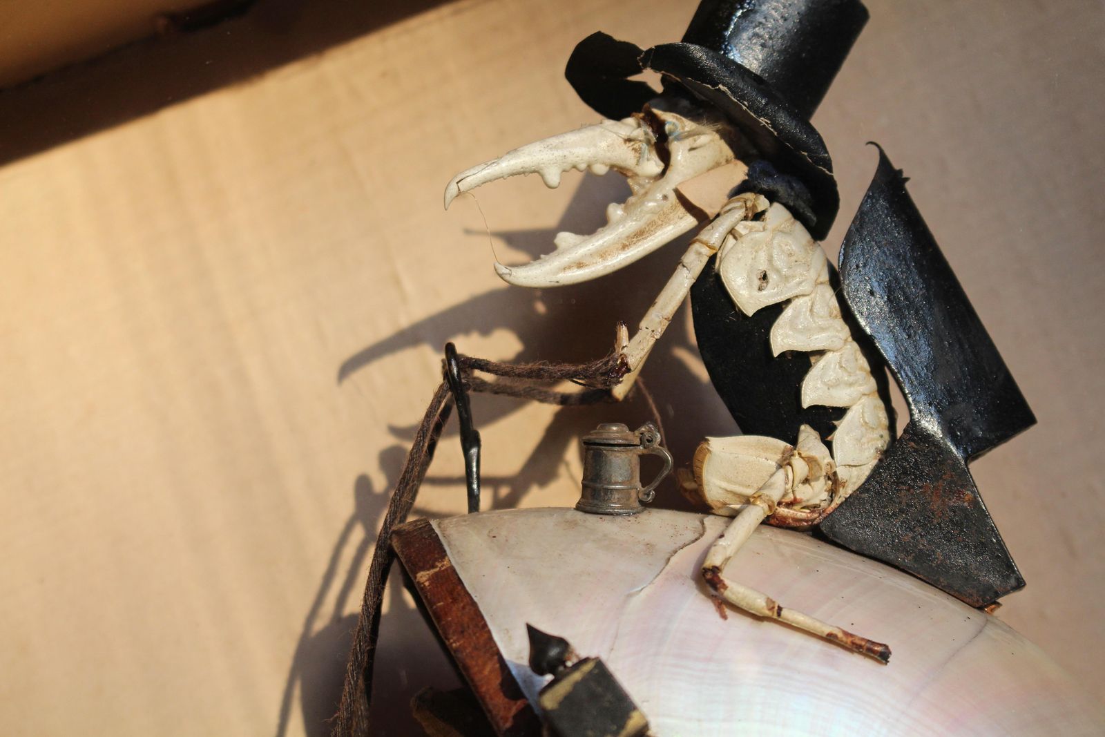 19th C Anthropomorphic Chameleon & Crustacean Taxidermy Scene Walter Potter photo Home Decor