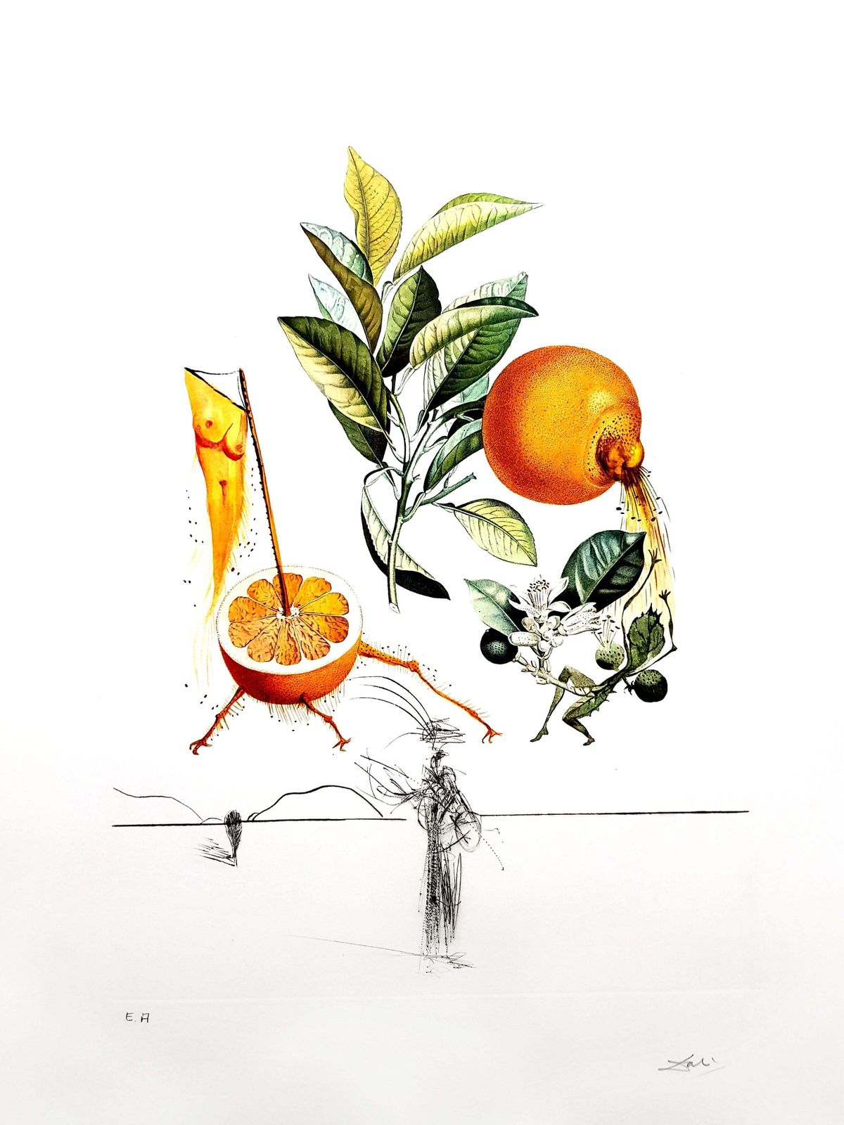 Salvador Dalí­Salvador Dali   Erotic Grapefruit   Original Hand Signed Lithograph1969