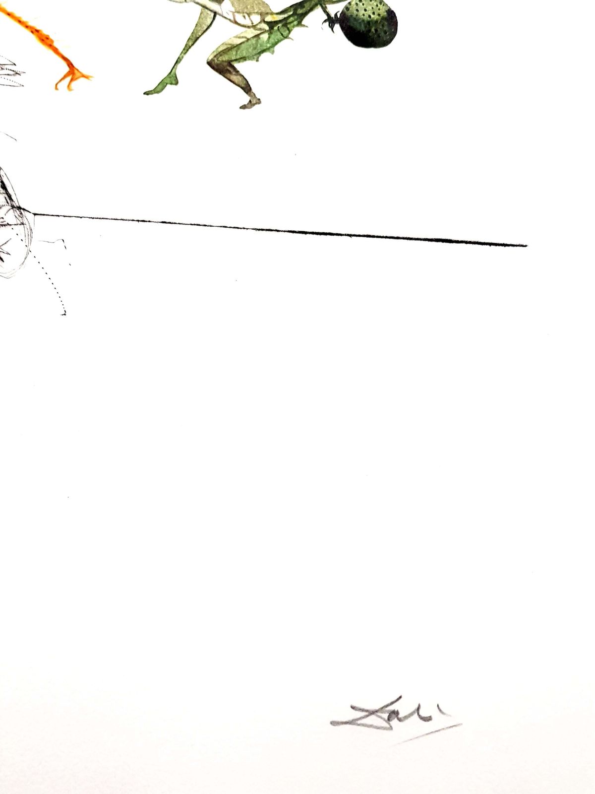 Salvador Dalí­Salvador Dali   Erotic Grapefruit   Original Hand Signed Lithograph1969 photo for sale
