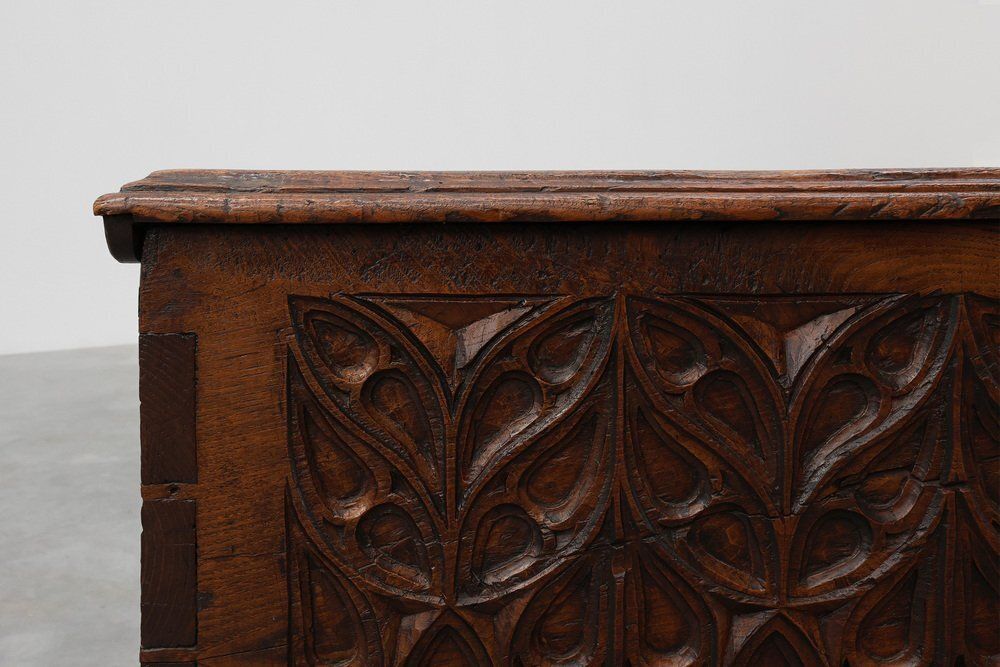 Large 16th Century Gothic Carved Oak Chest, France photo vintage