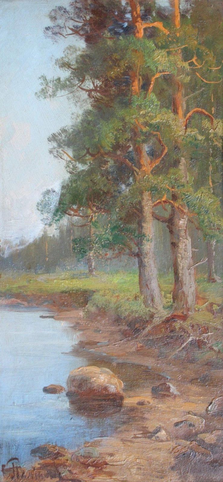 Semyon Sergeevich Platonovpine Trees On The River Bank  Cardboard, Oil, 39x20 Cm