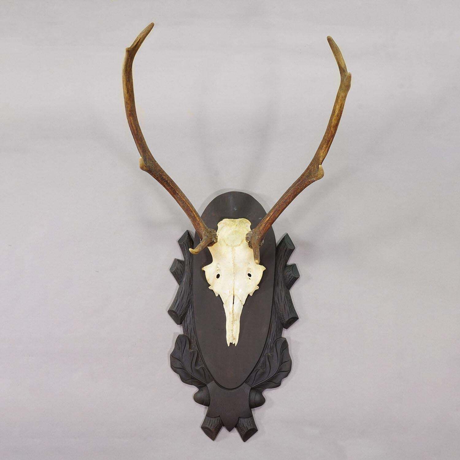 Large Black Forest 8 Pointer Red Deer Trophy On Carved Plaque   Germany Ca. 1940 photo furniture