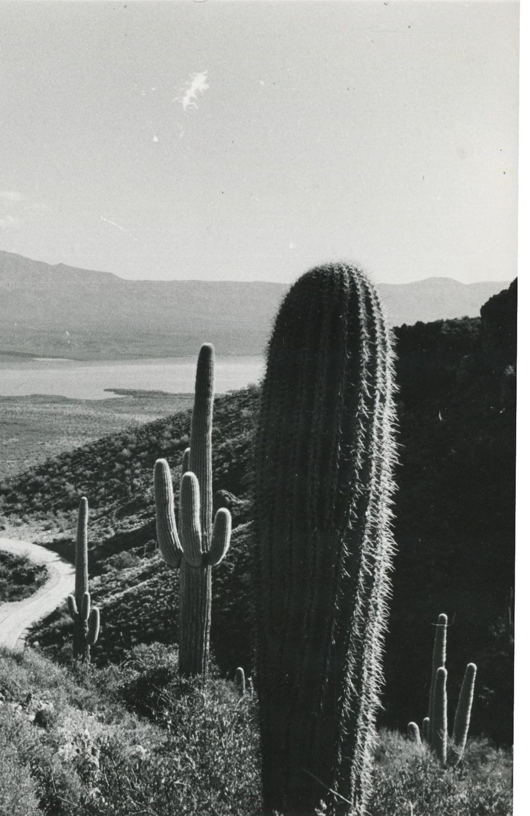 Erich Andresmojave Desert, California, Black And White, USA 1960s, 16.0 X 23, 7 Cm1960s photo furniture