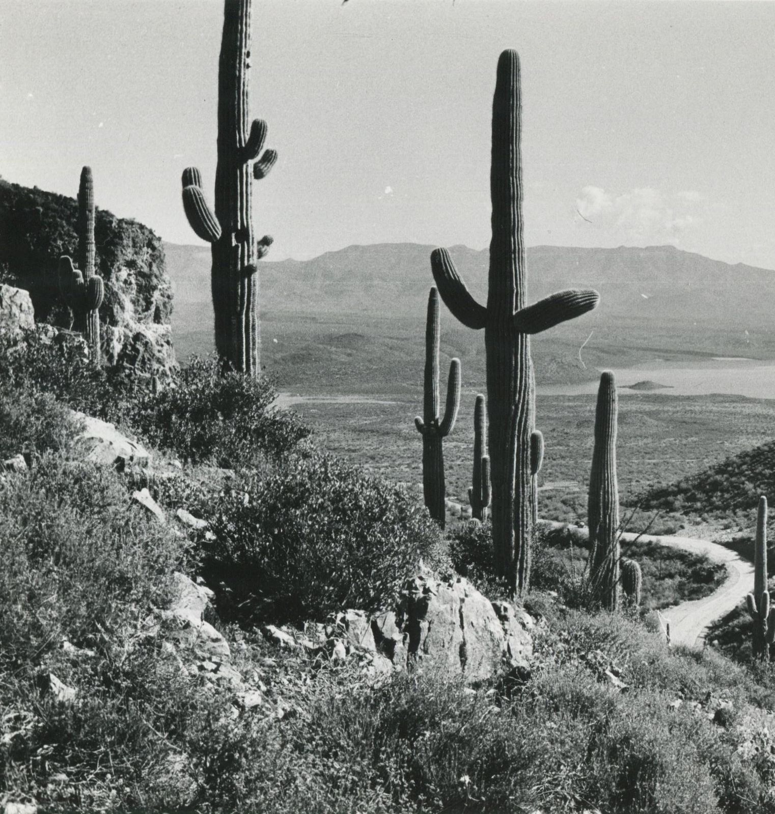 Erich Andresmojave Desert, California, Black And White, USA 1960s, 16.0 X 23, 7 Cm1960s photo for sale