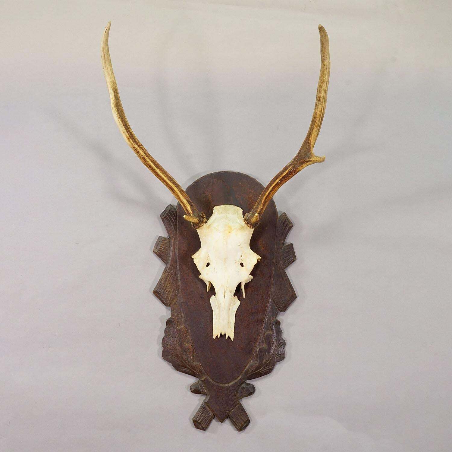 Large Black Forest Red Deer Trophy On Carved Plaque   Germany Ca. 1935 photo furniture