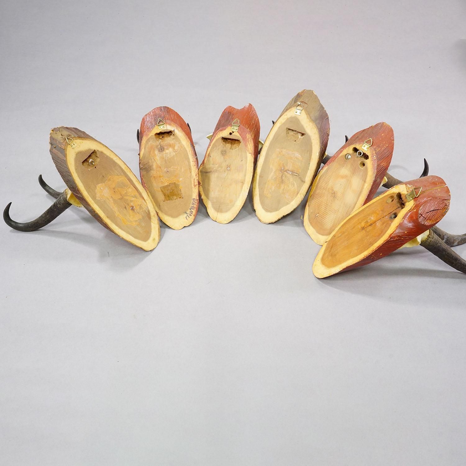 Set Of Six Vintage Chamois Trophies On Wooden Plaques, Germany Ca. 1960s photo buy
