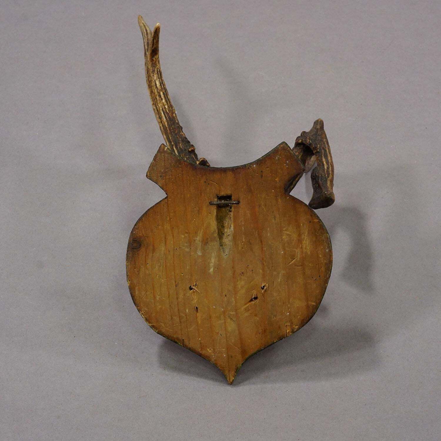 Abnorm Deer Trophy On Turned Plaque, Germany Ca. 1930s photo buy