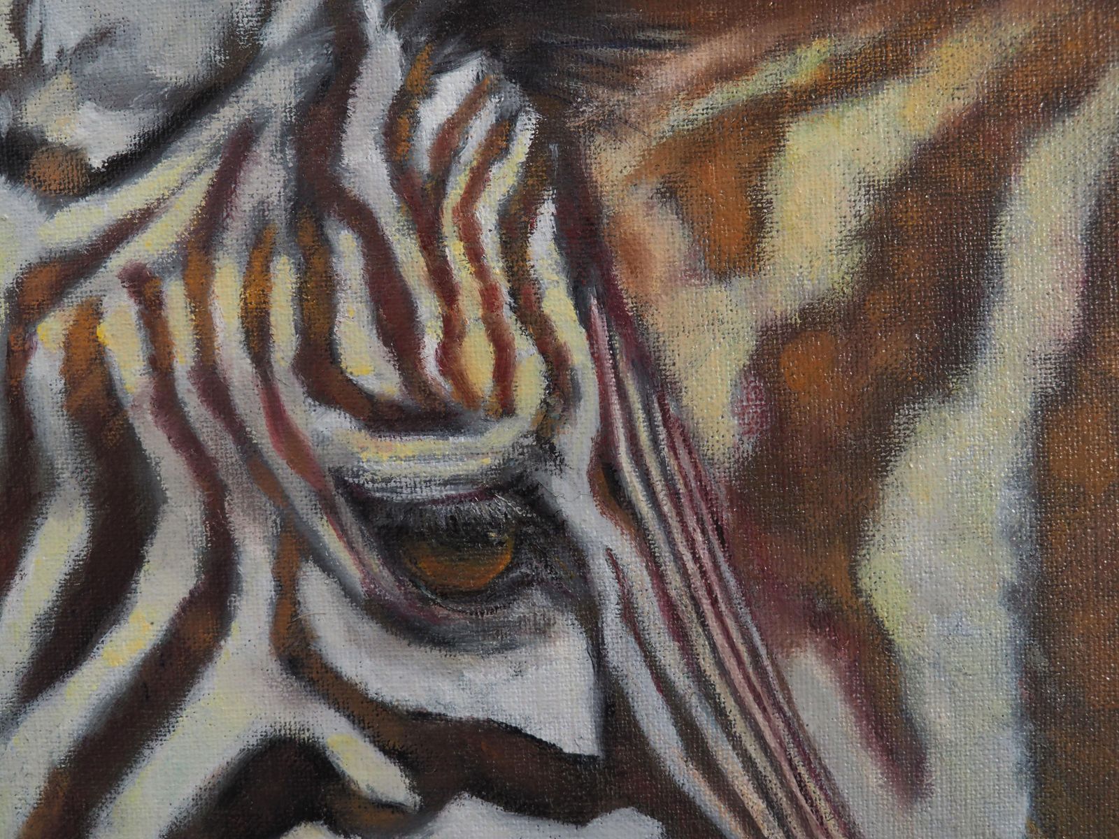Portrait Zebra Oil On Canvas By Sylvie Ajacques 2025 photo for sale