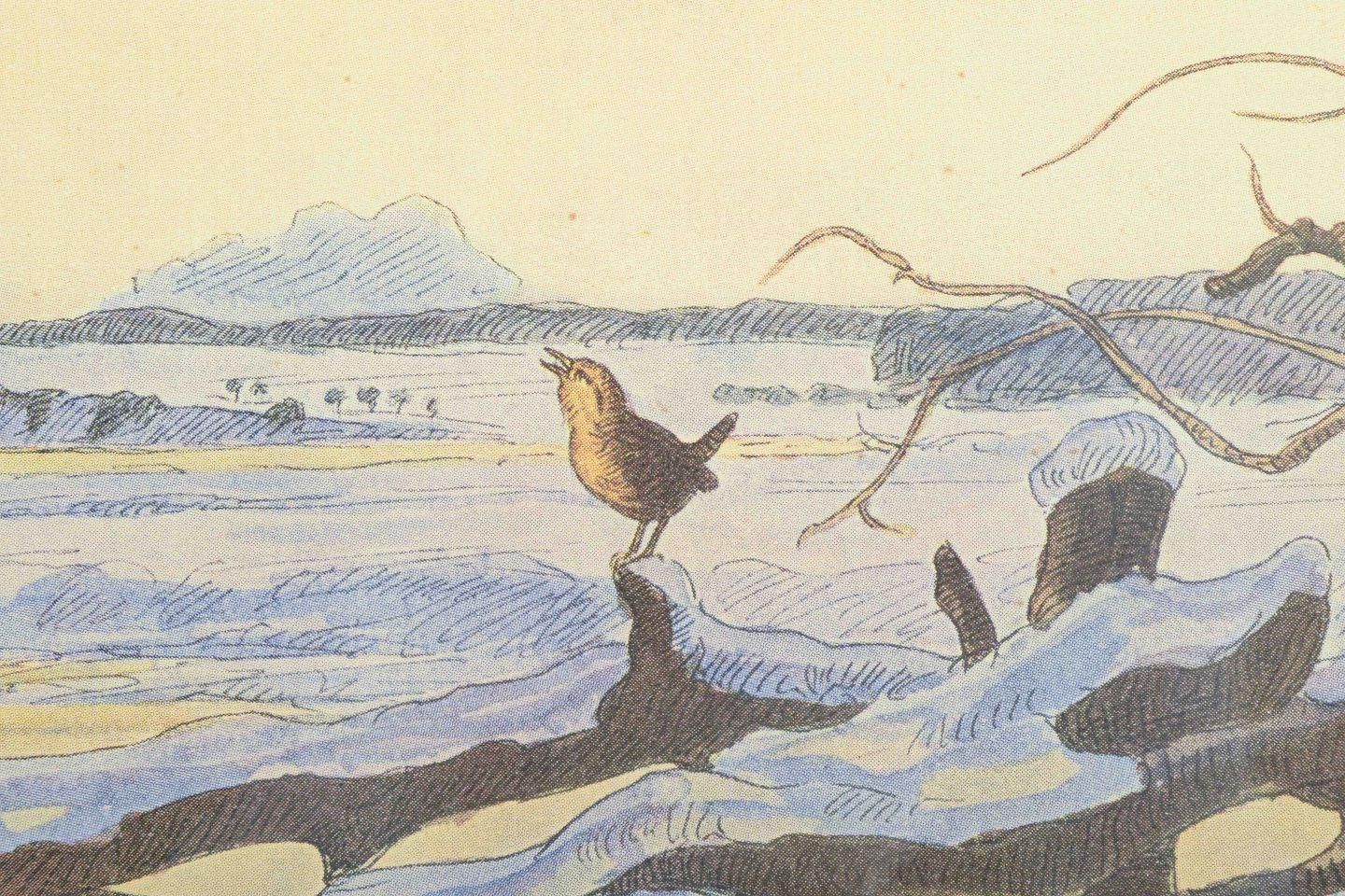 Johannes Larsen, Denmark. "December Morning", Ca. 1908. Print On Paper. photo for sale