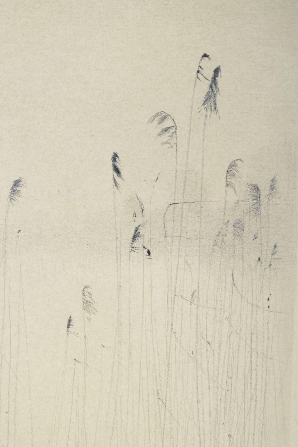 Gunnar Norrman, Sweden. “Vinterstrån”, 1971. Pencil On Paper. photo for sale
