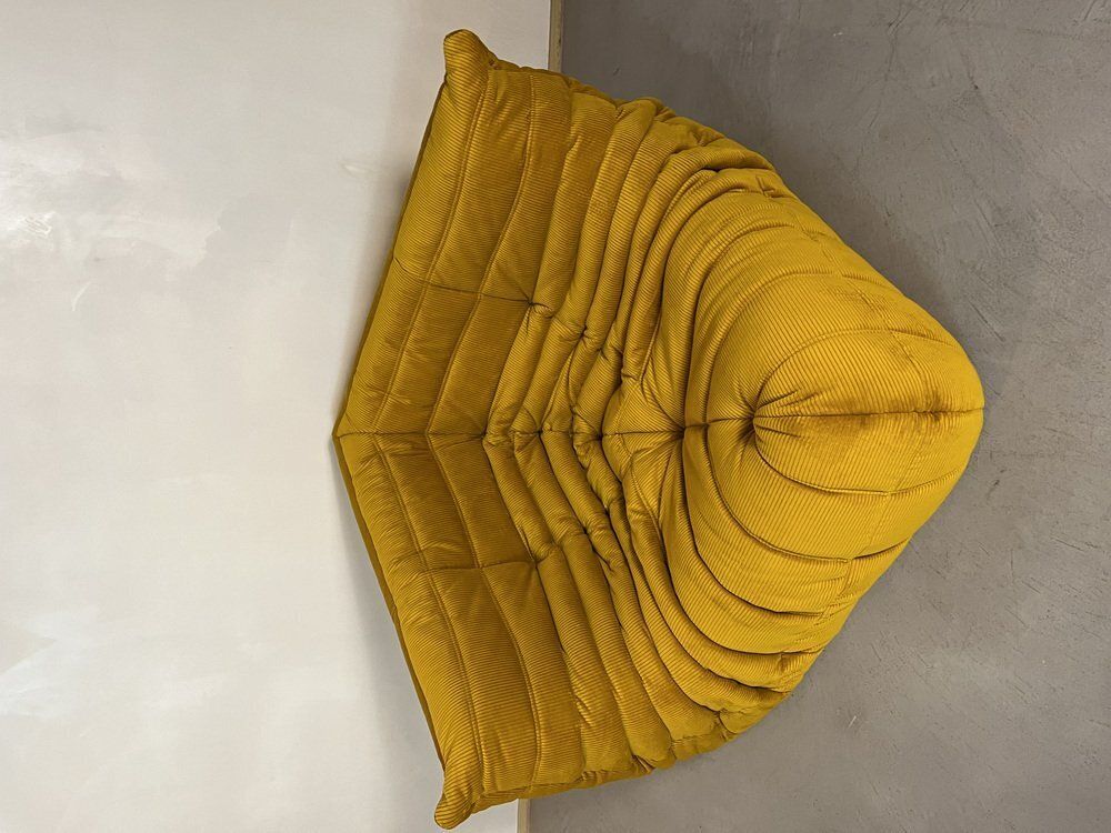 Goldenrod Togo Living Room Set By Michel Ducaroy For Ligne Roset, Set Of 5 photo Furniture