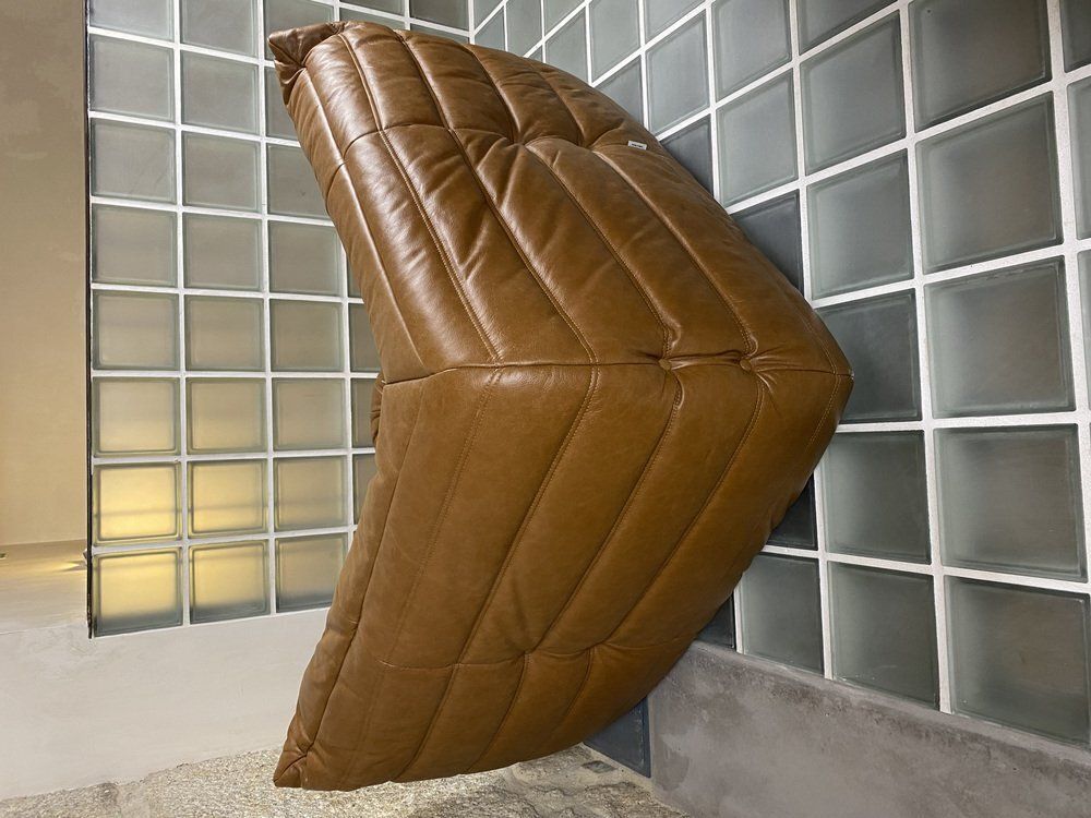 photo furniture Brown Leather Togo Sofa Set By Michel Ducaroy For Ligne Roset, Set Of 5