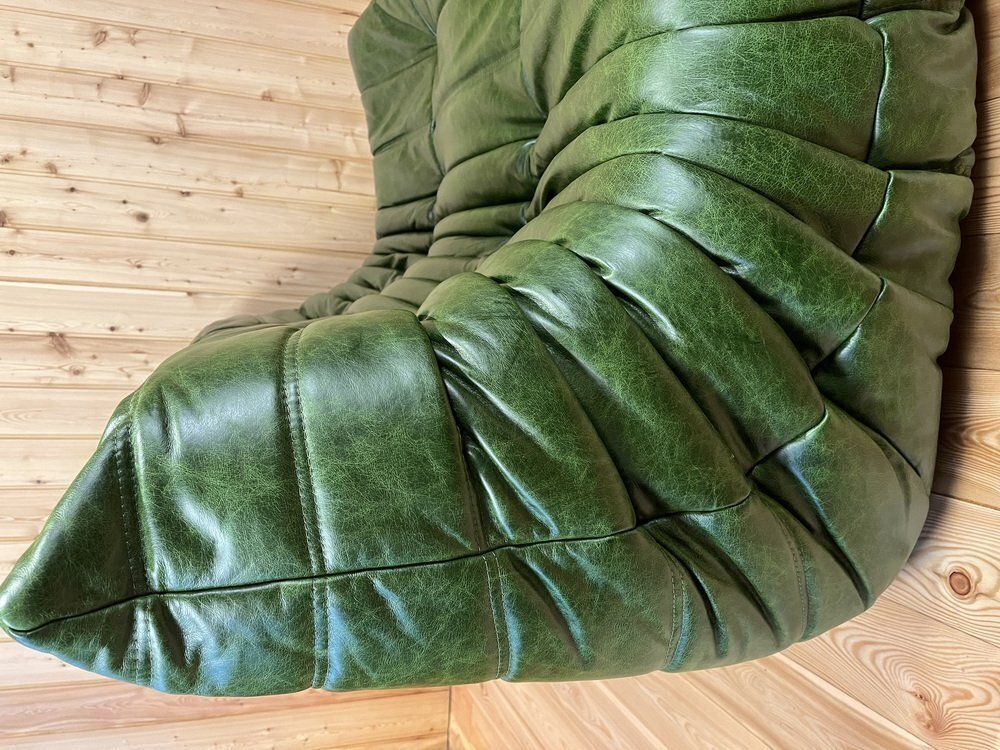 Green Dubai Leather Togo 2 Seater Sofa By Michel Ducaroy For Ligne Roset photo Furniture