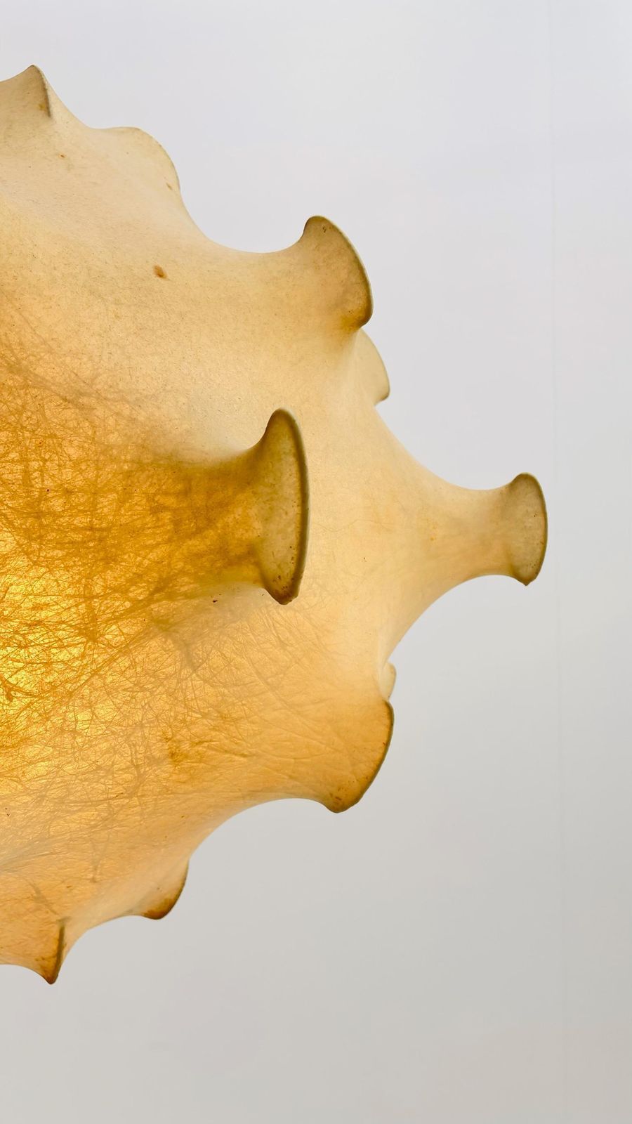 Large Taraxacum   1960 Version   By Achille & Pier Giacomo Castiglioni Fo photo for sale