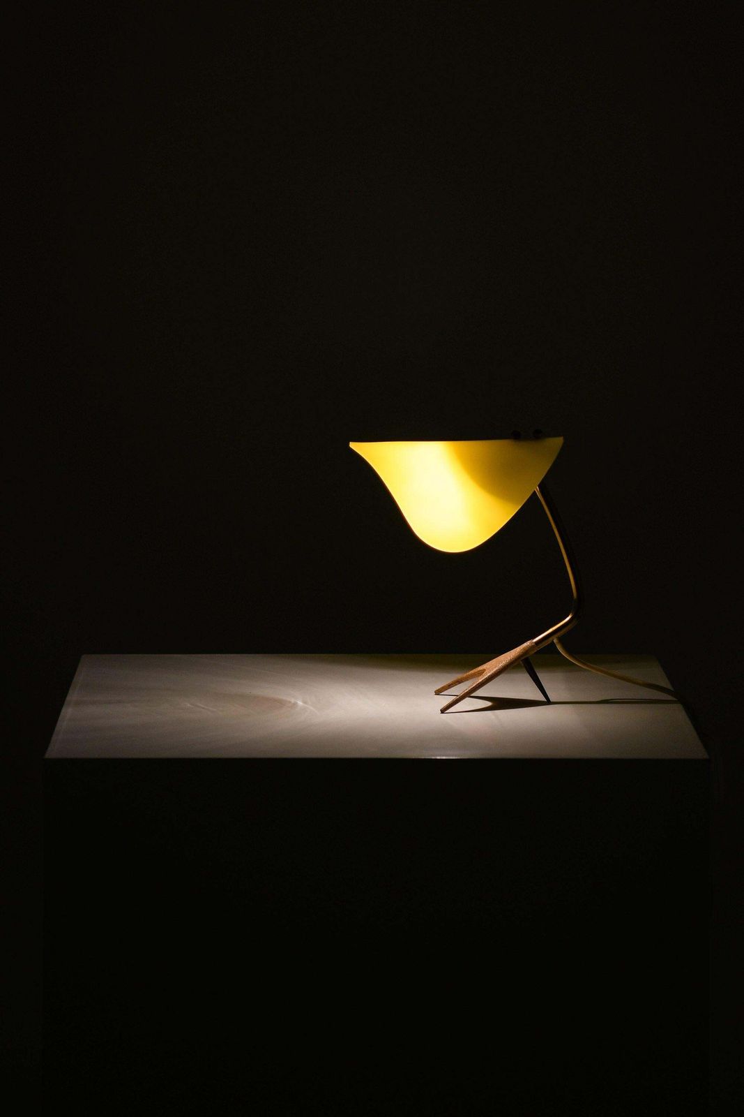 Table Lamp In Lacquered Metal, Brass And Plastic By Louis Kalff, 1950's photo for sale