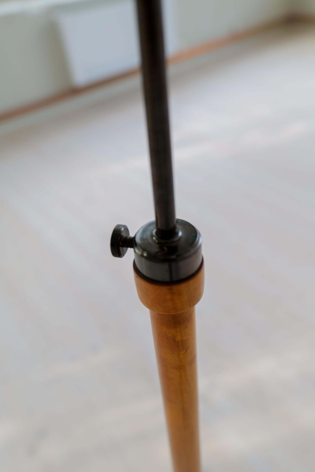 Lighting Art Deco Organic Floor Lamp In Stained Birch Sweden, 1930s photo