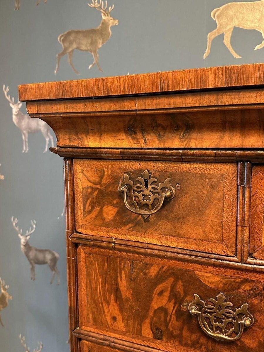 Antique Burl Walnut Chest, 18th Century photo vinterior