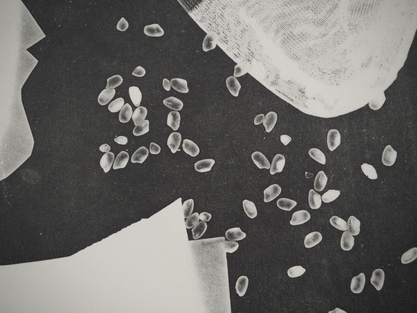Pablo Picassodiurnes: The Bride   Original Collotype And Stencil (Cramer#115)1962 photo Art