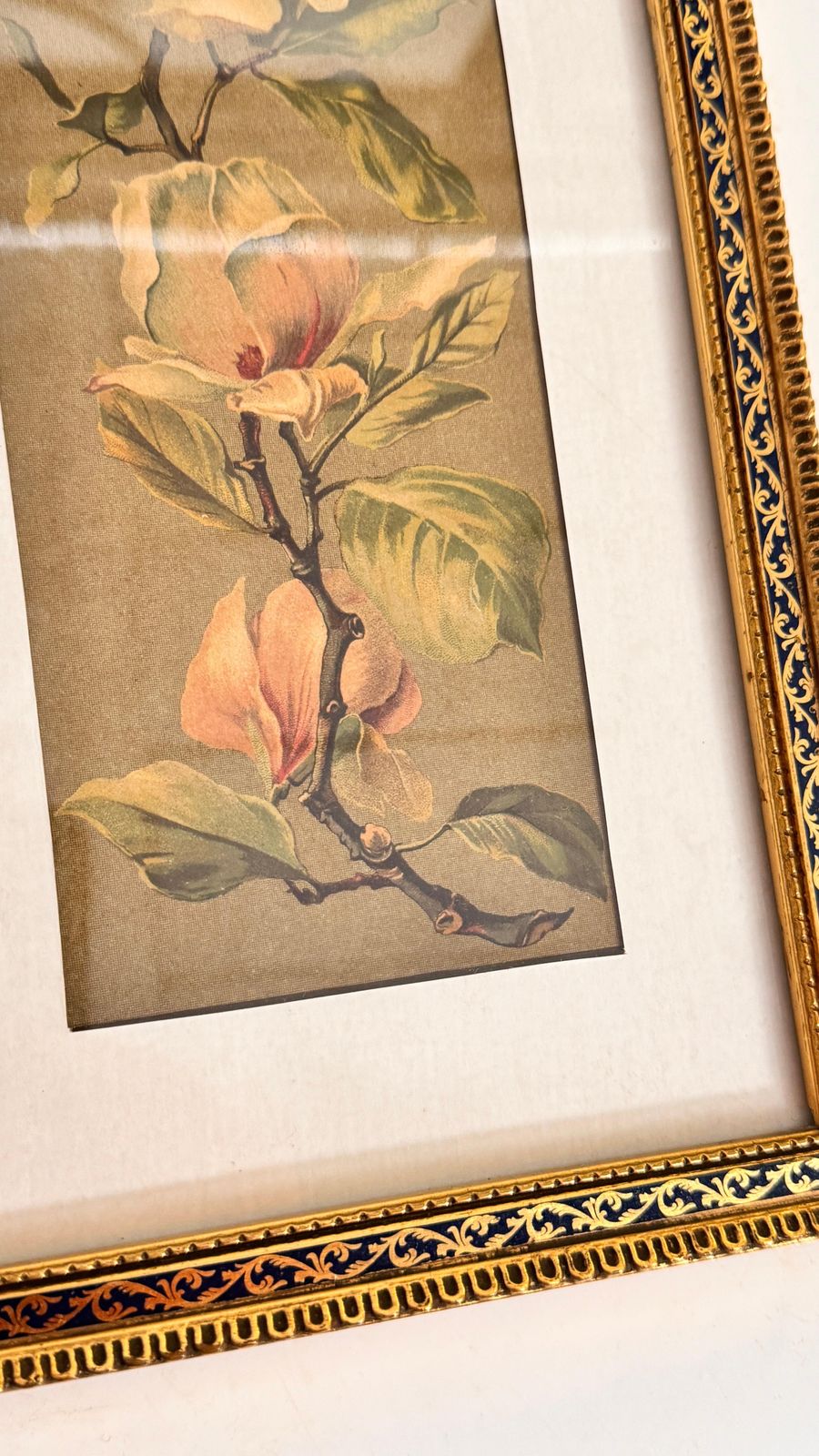 Pair Of Floral Engravings — France, 1920s photo buy