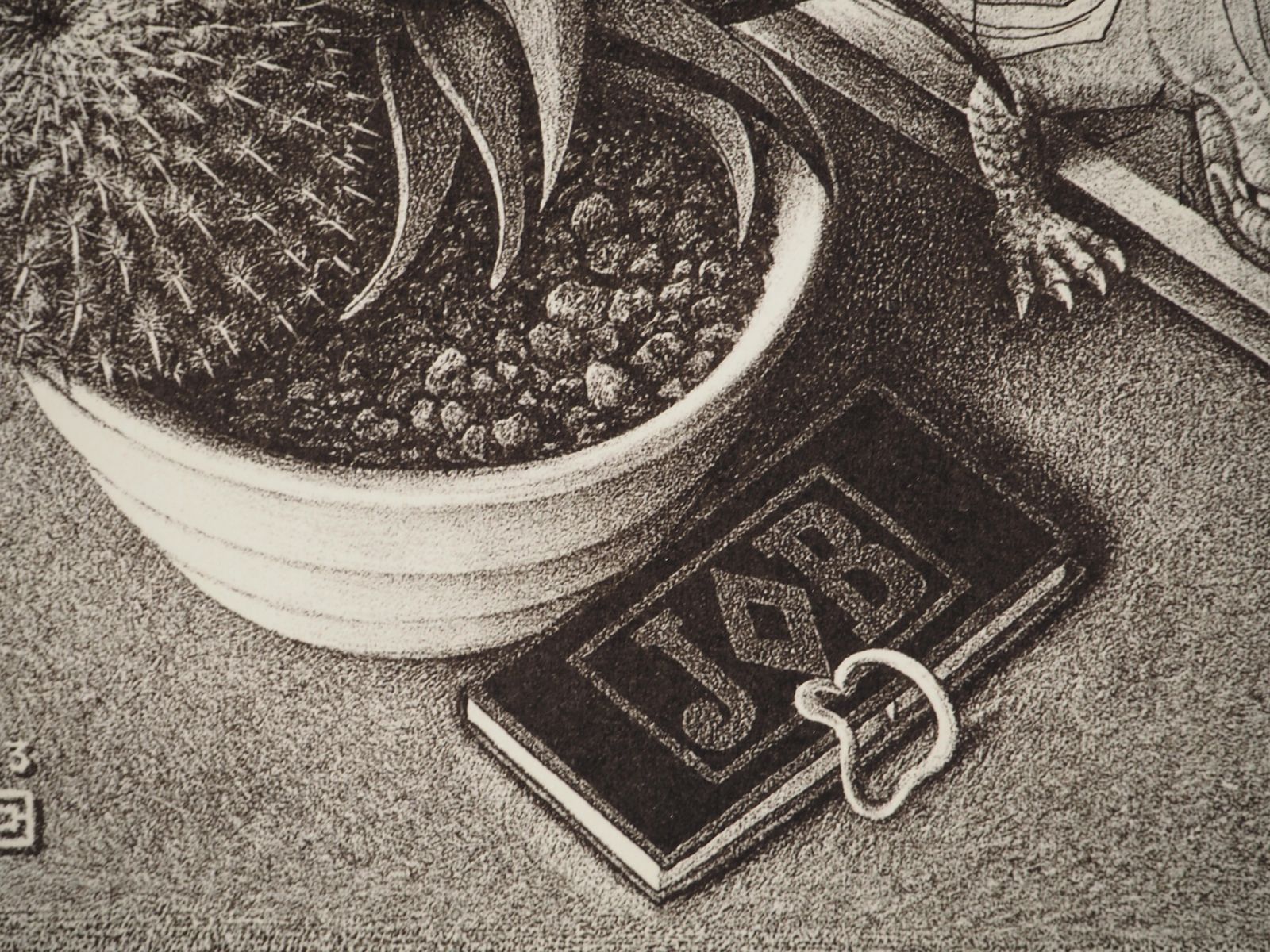 photo for sale M.C. Escherstill Life   Reptiles   Signed Facsimile, Ltd /4502008