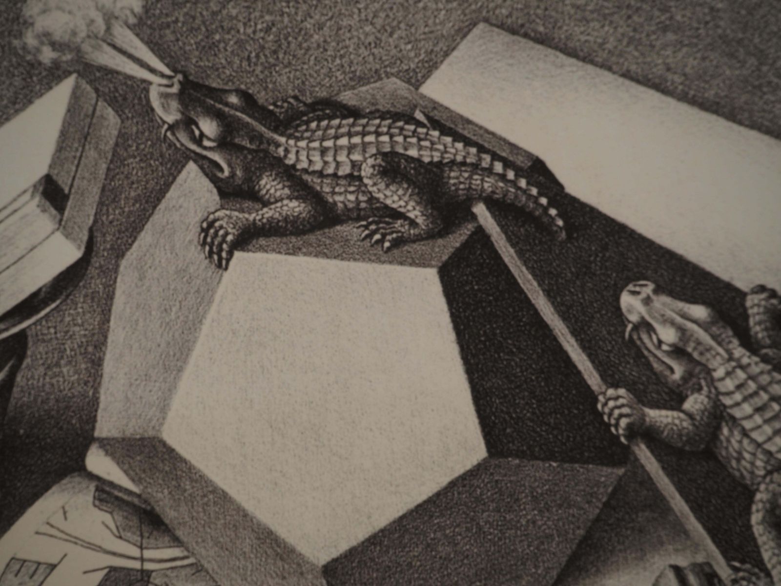 520.0 M.C. Escherstill Life   Reptiles   Signed Facsimile, Ltd /4502008 photo