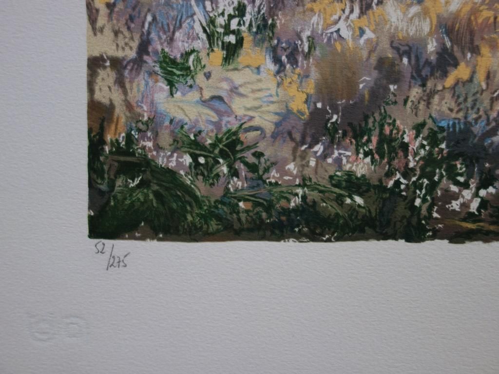 Yvonne Cheffer Delouispink Irises Near The Lake   Original Handsigned Lithograph photo Art