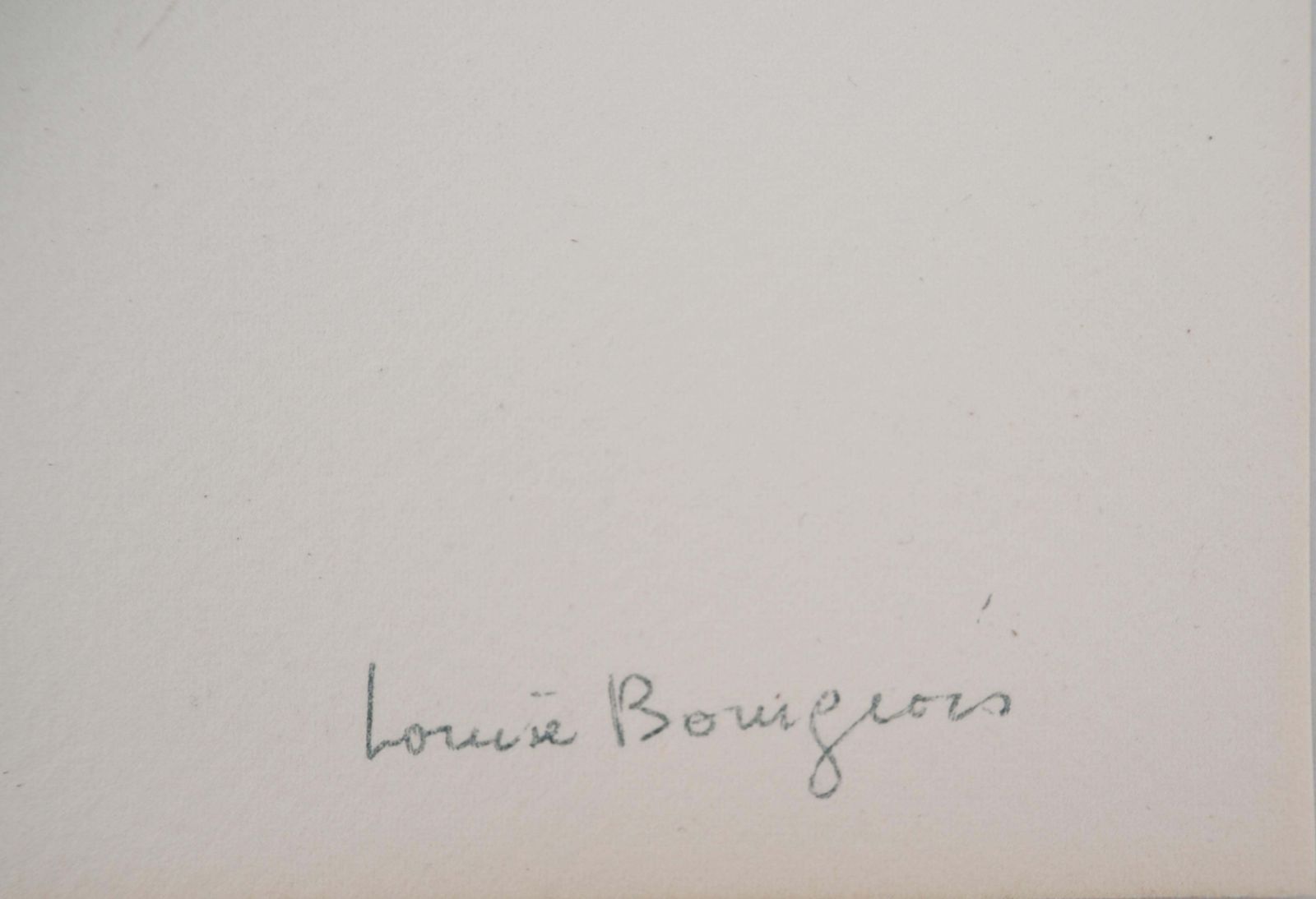 Louise Bourgeoissheaves   Original Lithograph (Wye Smith #79 2)1985 photo furniture