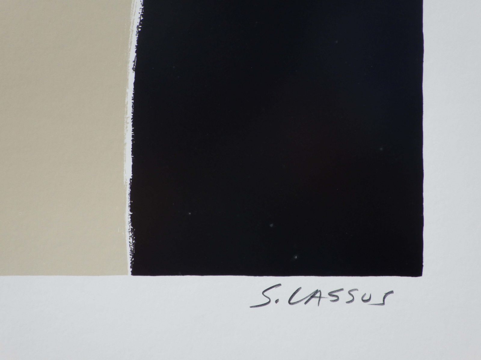 Serge Lassusflowers   The White Bouquet   Original Lithograph, Handsigned & Ltd /6001982 photo for sale